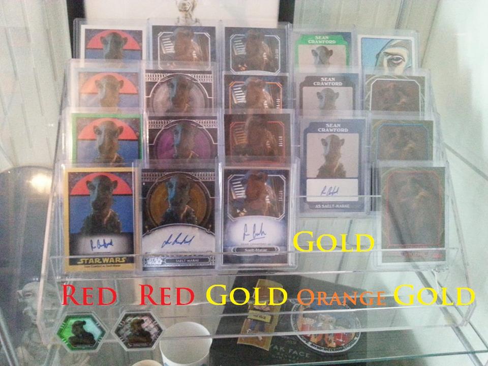 ALL0808.jpg