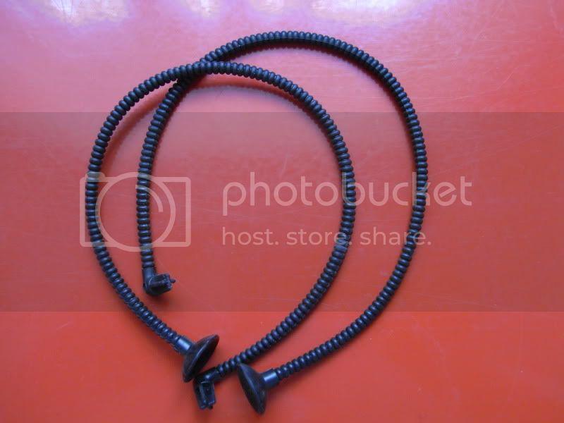 RIMG0342.jpg
