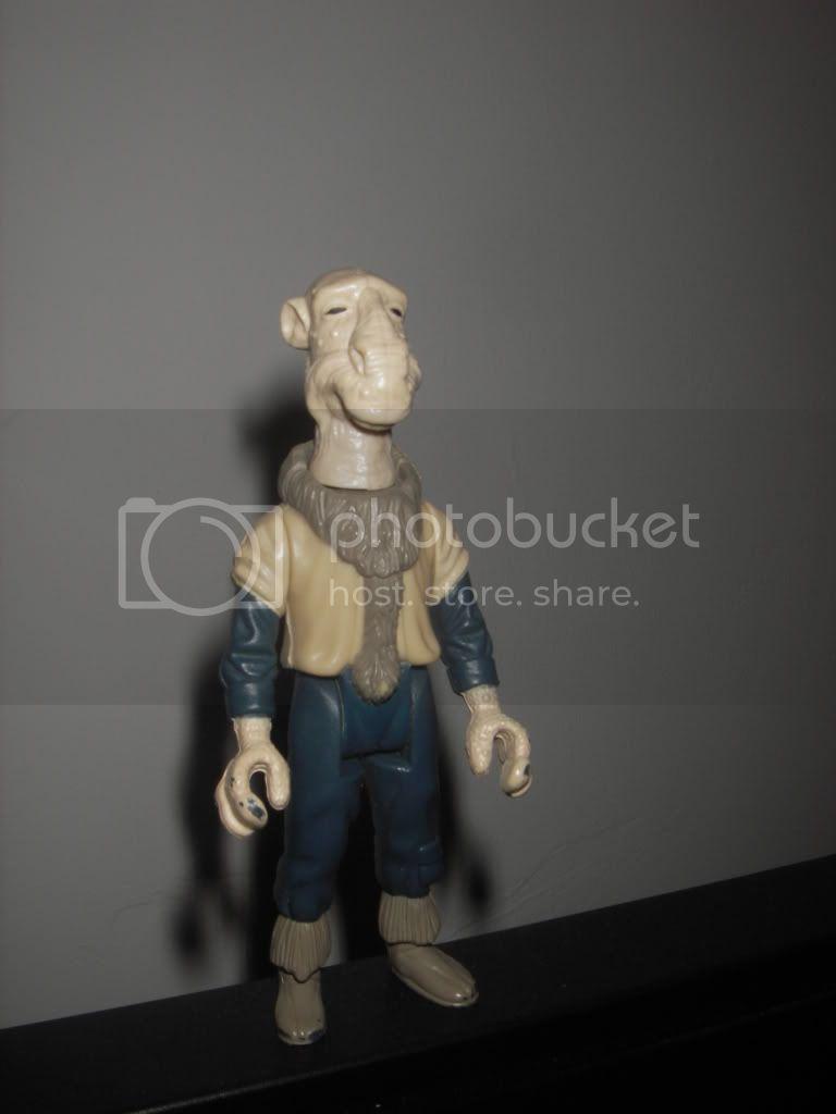 IMGP0163.jpg