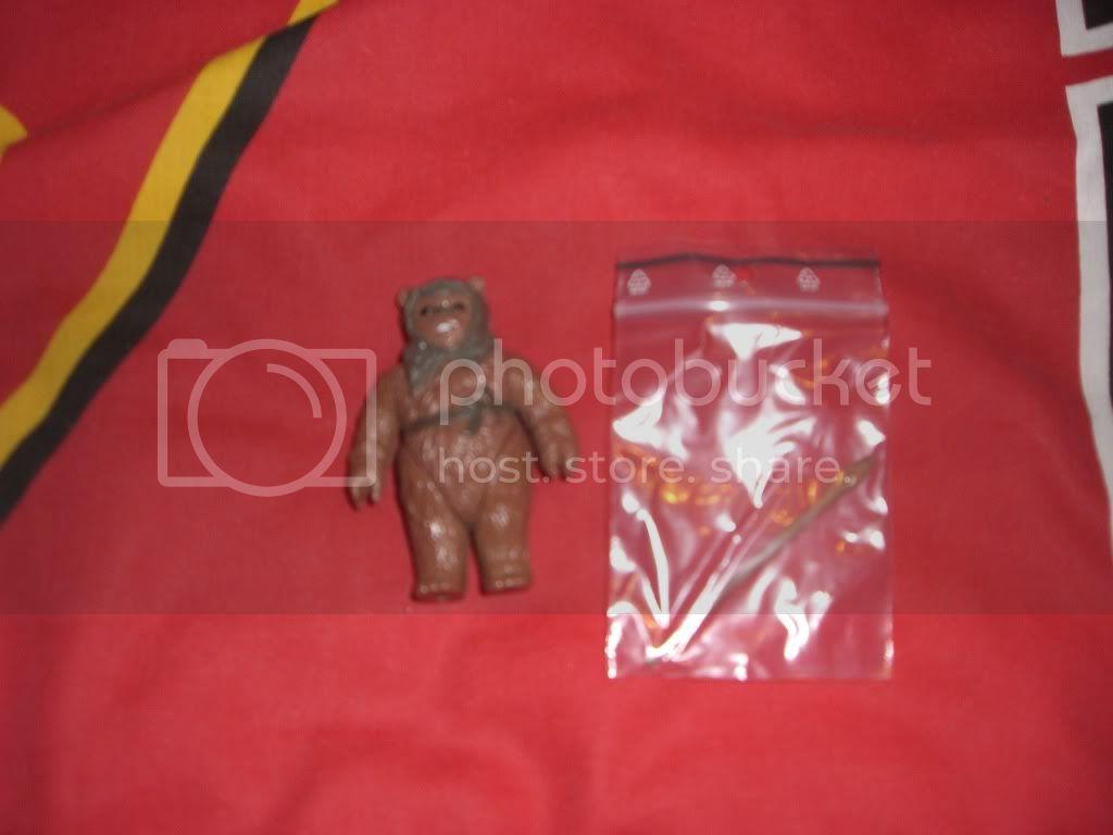CIMG4834.jpg
