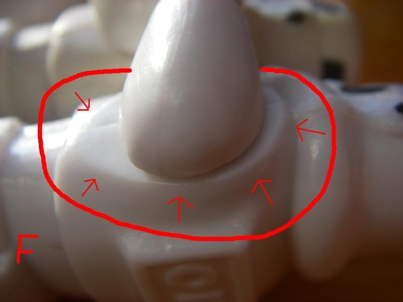 IMGP8569.jpg