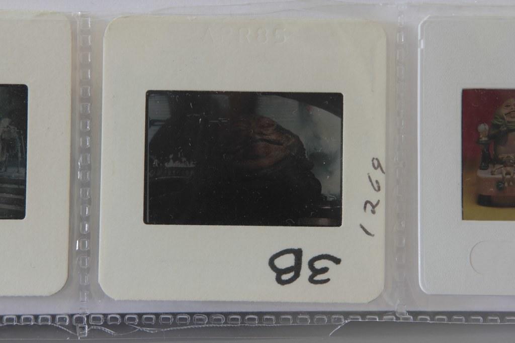 6952540668_22acb6dd12_b.jpg