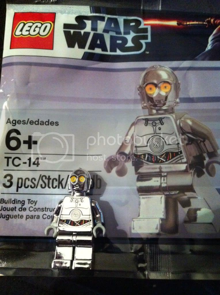 photo-1513.jpg