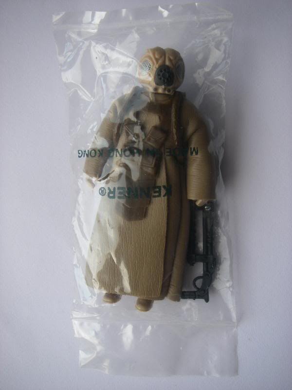 IMGP7306.jpg