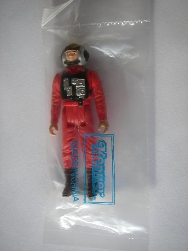 IMGP7670.jpg