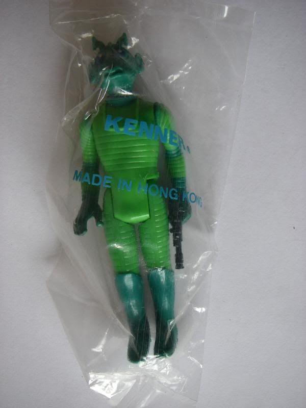 IMGP9398.jpg