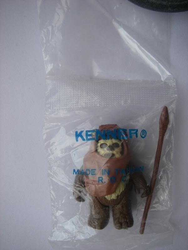 IMGP9605.jpg