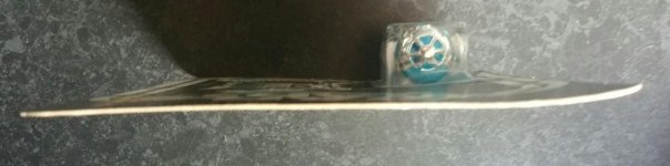 2016-03-04 15.53.22.jpg