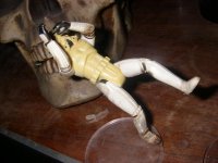 my stormie 1.jpg my stormie 1.jpg