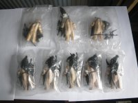 IMGP2667.JPG IMGP2667.JPG