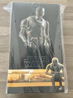 IMG_6081.jpeg IMG_6081.jpeg