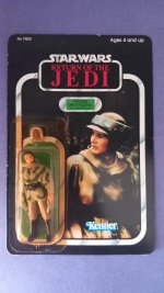 20230916_170151.jpg 20230916_170151.jpg