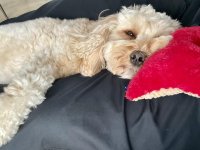 IMG_6571.jpeg IMG_6571.jpeg