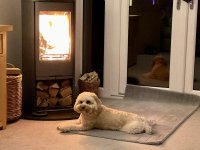 IMG_6481.jpeg IMG_6481.jpeg