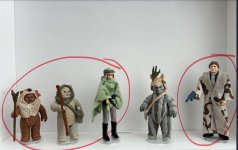 IMG_7341.jpeg IMG_7341.jpeg