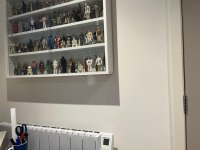 IMG_6698.jpeg IMG_6698.jpeg