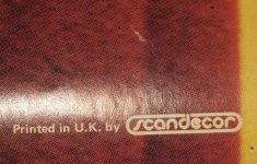 IMG_9525.jpeg IMG_9525.jpeg