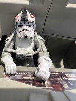 IMG_8233.jpeg IMG_8233.jpeg