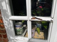 IMG_7797.jpeg IMG_7797.jpeg