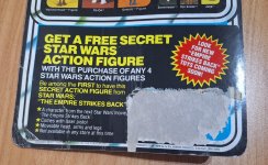 SW 21C Chewbacca 6.jpg