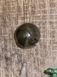 IMG_6299.jpeg