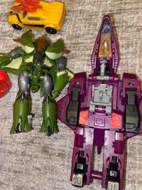 IMG_6356.jpeg