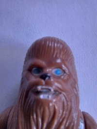 20260120_124549.jpg