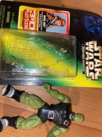 IMG_6616.jpeg