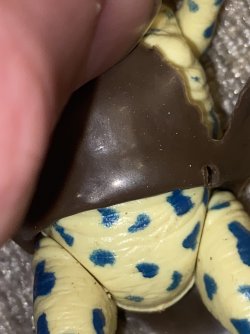 IMG_6968.jpeg