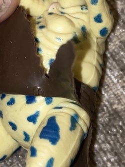 IMG_6969.jpeg