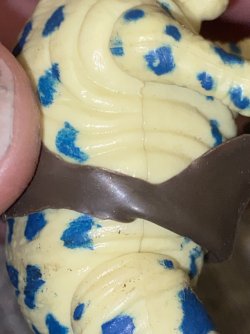 IMG_6971.jpeg