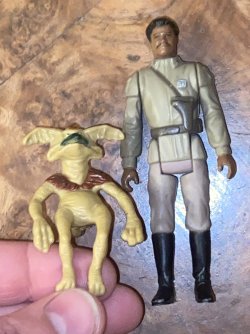 IMG_7316.jpeg