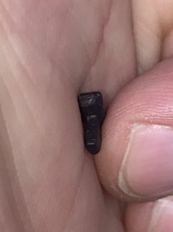 IMG_7314.jpeg