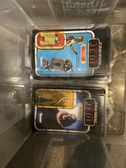 IMG_6833.jpeg