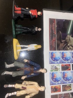 IMG_7998.jpeg