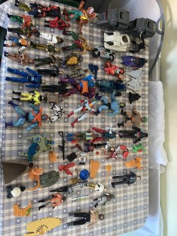 IMG_8442.jpeg