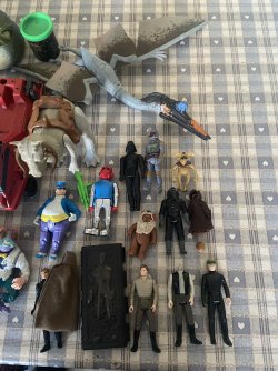 IMG_8453.jpeg