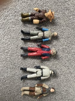 IMG_3530.jpeg
