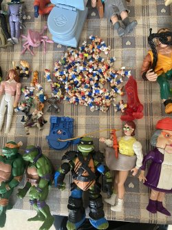 IMG_8795.jpeg