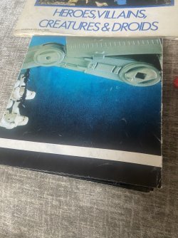 IMG_8805.jpeg