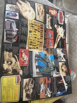 IMG_8811.jpeg