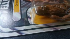 2017-02-01 15.02.27.jpg