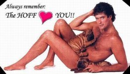 Hoff-loves-you.jpg