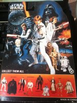 IMG_0831 (478x640).jpg