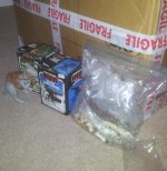 2013-10-21 13.08.36-1.jpg