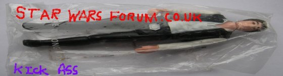 Copy of SW-a - Small Head han.JPG