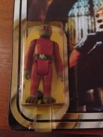 IMG_2134 (768x1024).jpg