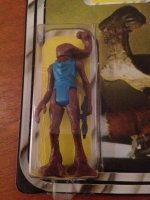 IMG_2131 (768x1024).jpg