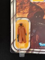 3 - Jawa - close up.JPG