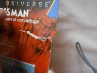 P3170040 [800x600].JPG